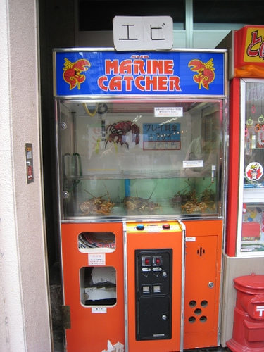 lobster skill crane