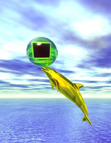 dolphin